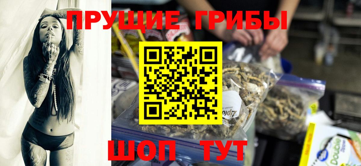 Галлюциногенные грибы Cubensis  Вход с VPN  Псилоцибиновые грибы Psilocybine cubensis  Туапсе 